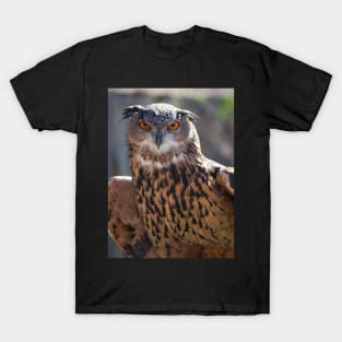 Eagle Owl T-Shirt